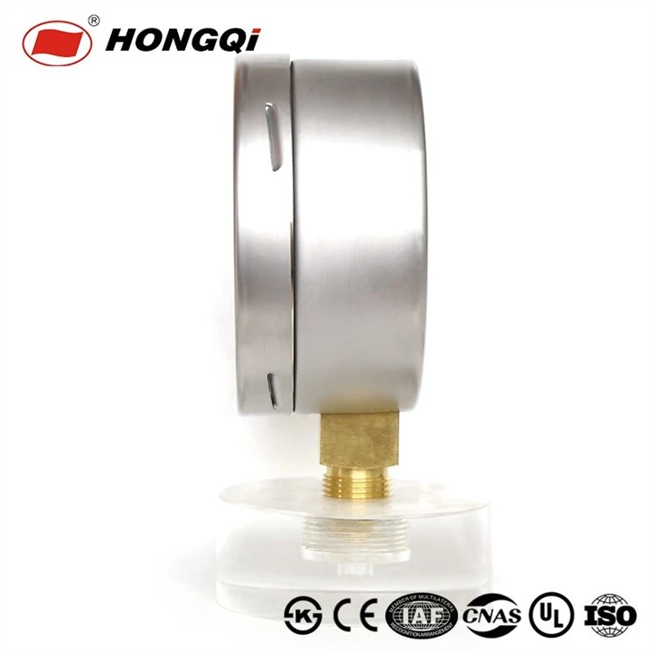 HONGQI capsule pressure gauge