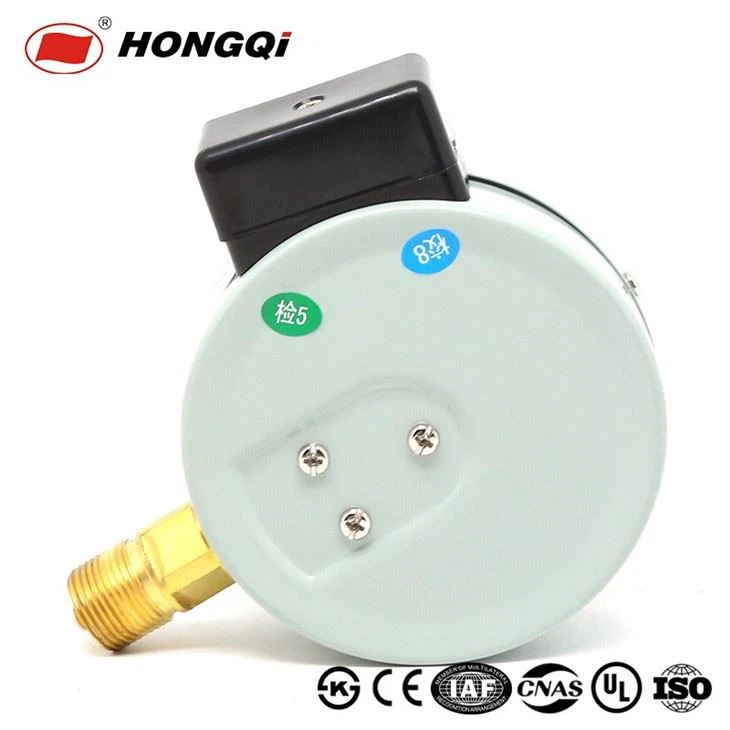 Hongqi electric contact vacuum pressure gauge outlet (4)