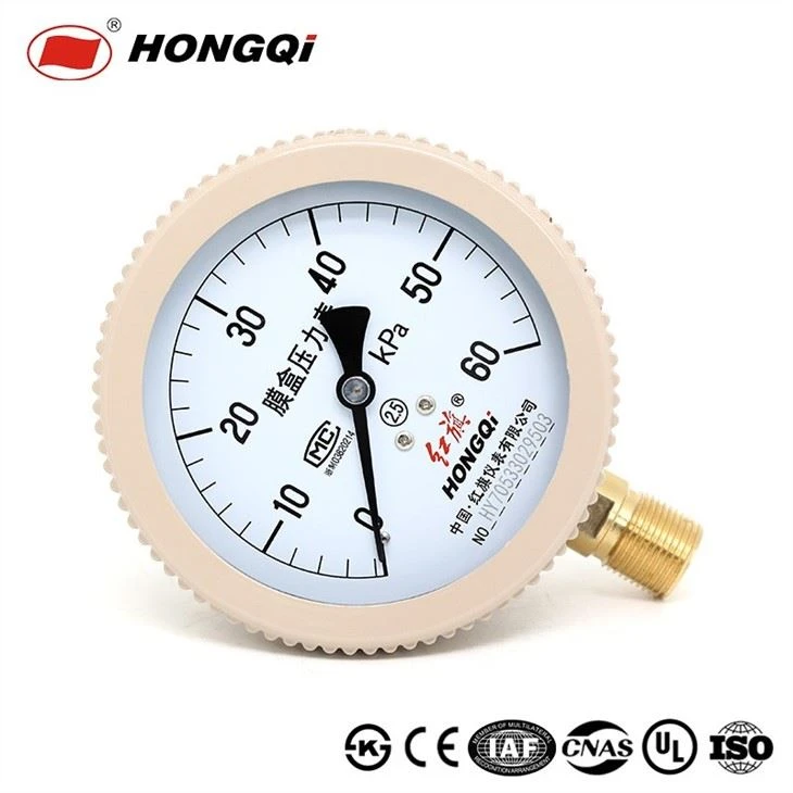Capsule/Diaphragm Series Pressure Gauge