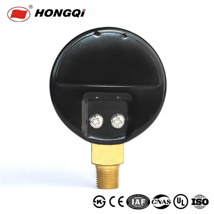 Explosion-Proof Black Painted Steel CasePressure Gauge