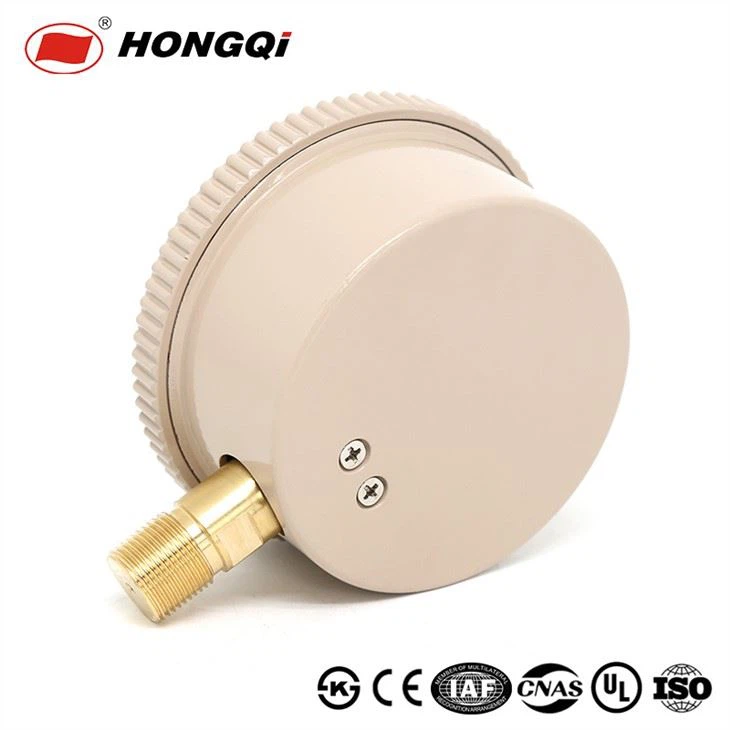 Hongqi Ye100mm 4inch Capsual Pressure Gauge