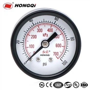 1/4" NPT Back Mount Manometer
