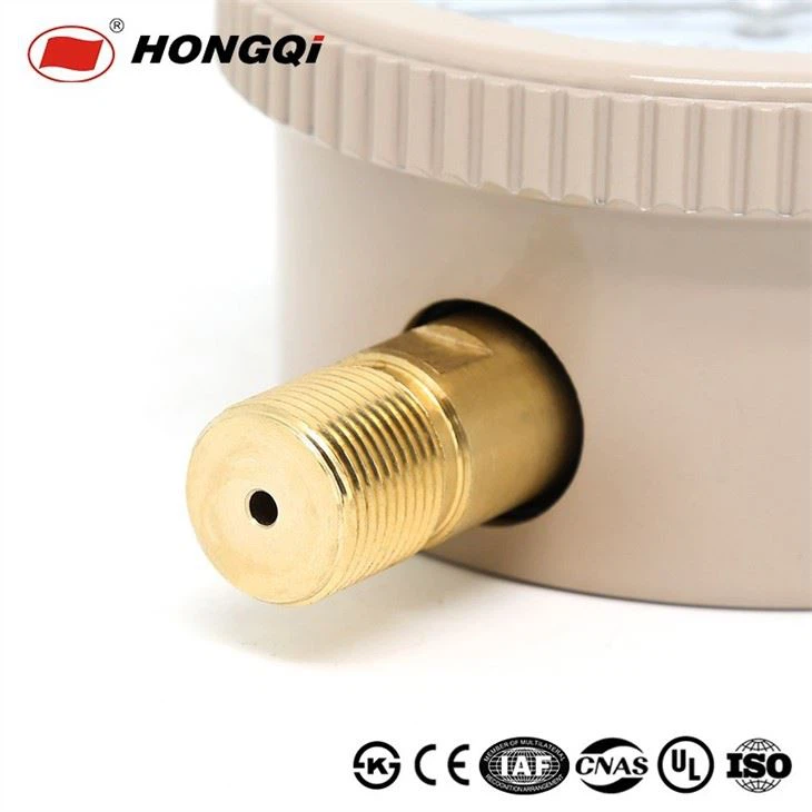 YE-100 Series Capsule Pressure Gauge